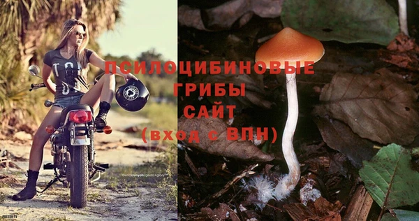 ешки Россошь