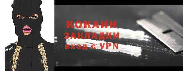 индика Баксан