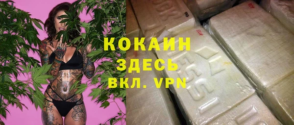 крисы Богданович