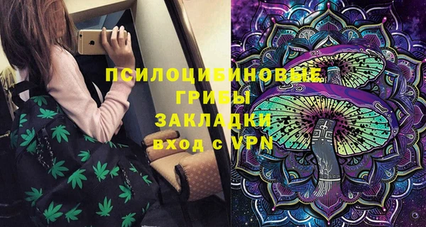крисы Богданович